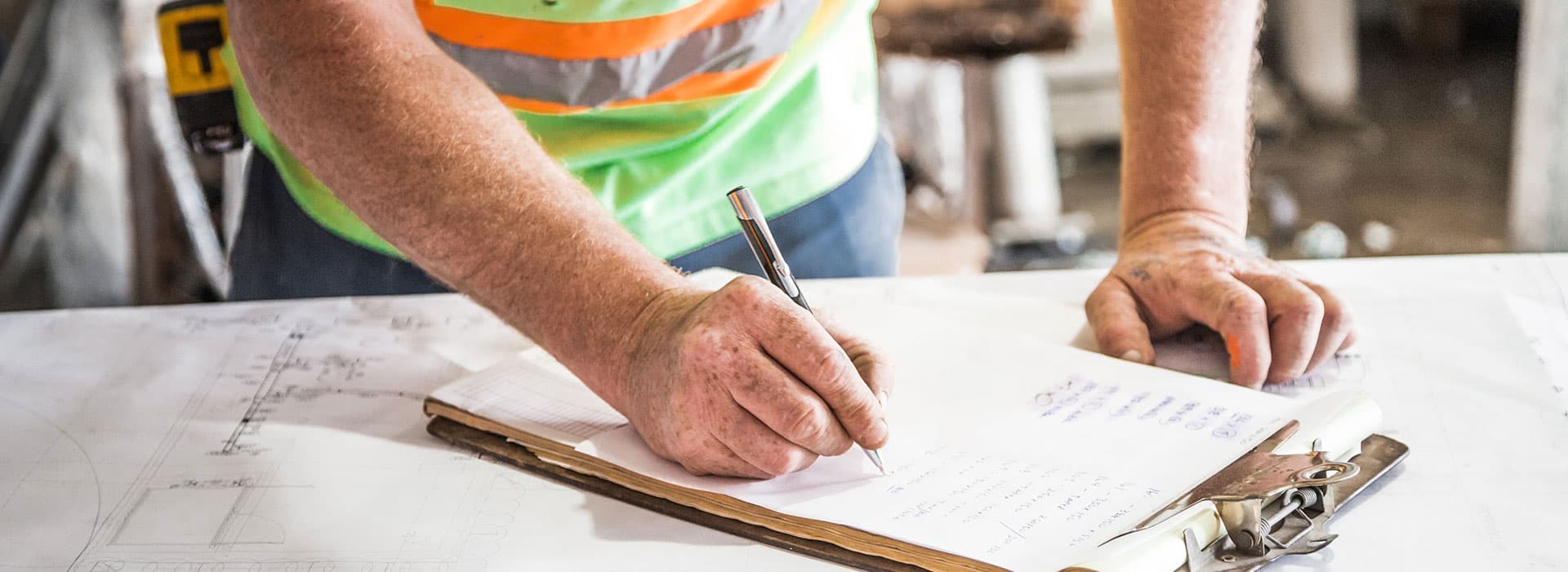 When Do You Need a Level 5 Arborist Report in Sydney?