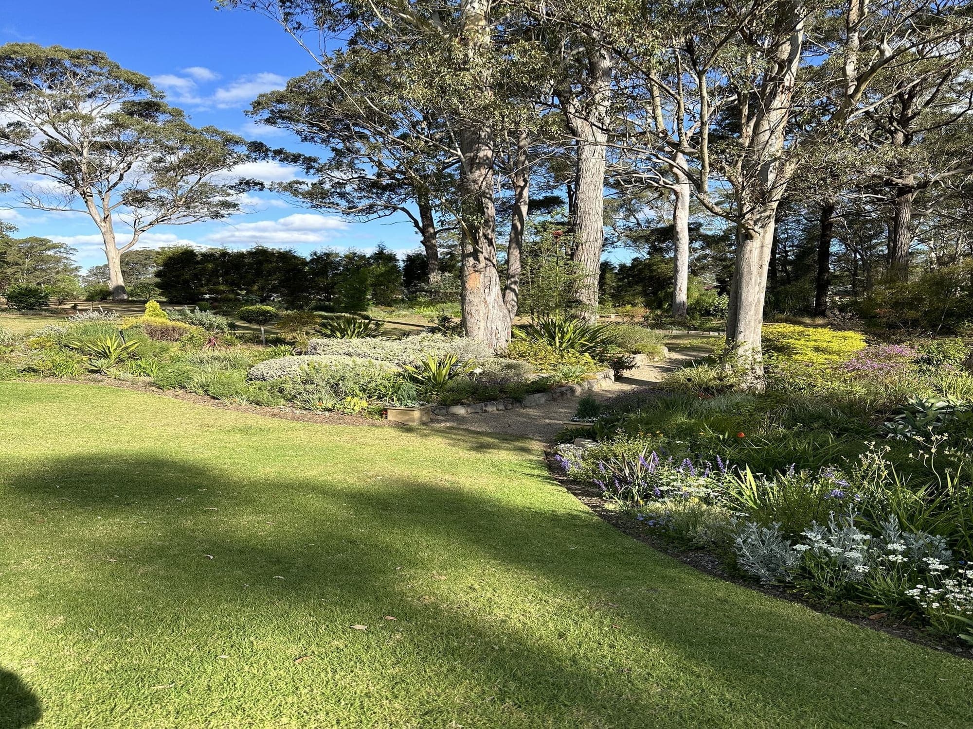Strata and Commercial Tree Management Sydney: Planning Guide