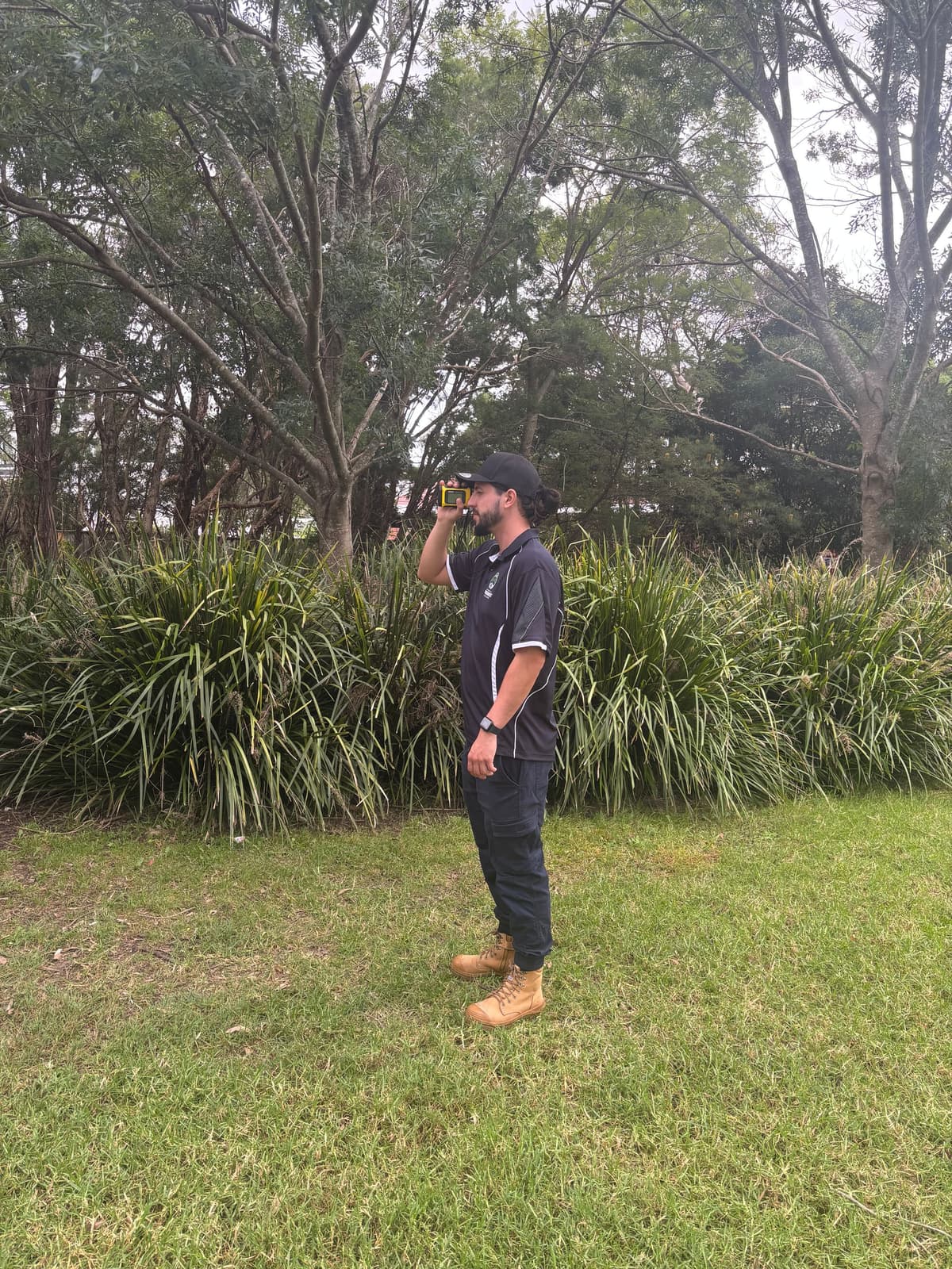 Sydney tree management plan documentation and arborist recommendations