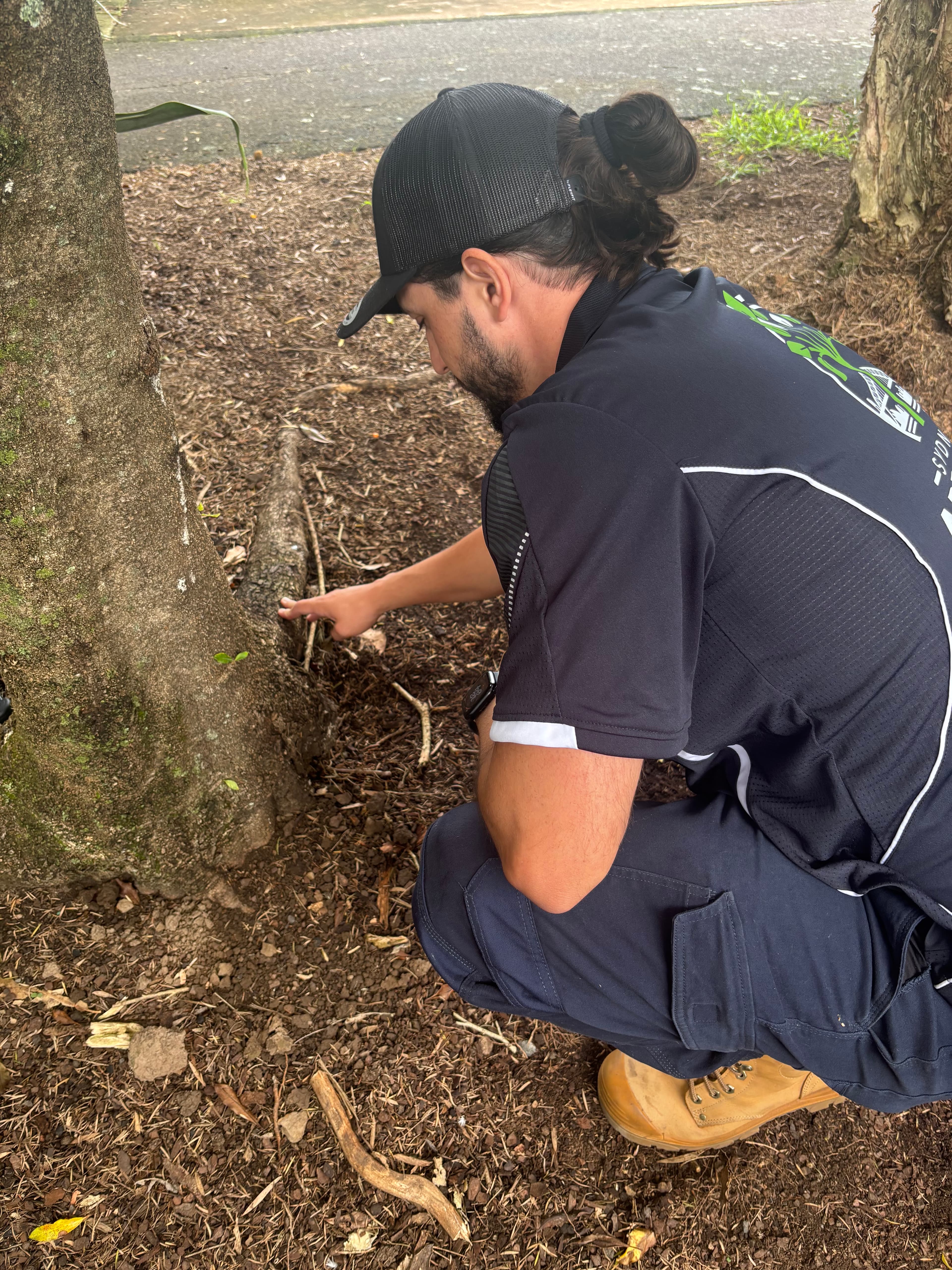 Consulting arborist discussing services with a client