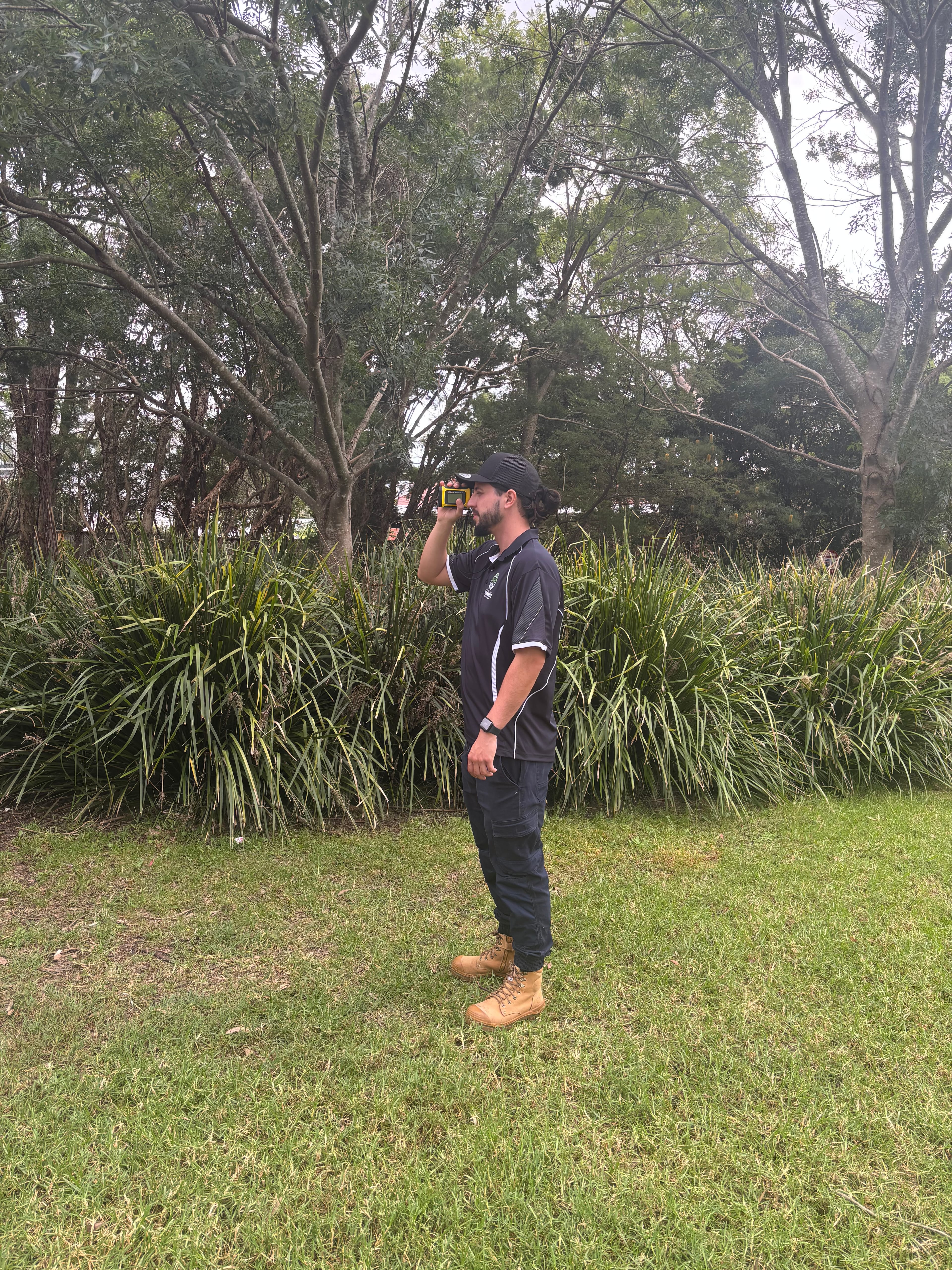 Professional On-Site Consultations by Sydney Arborist Solutions - Level 5 qualified arborists in Sydney