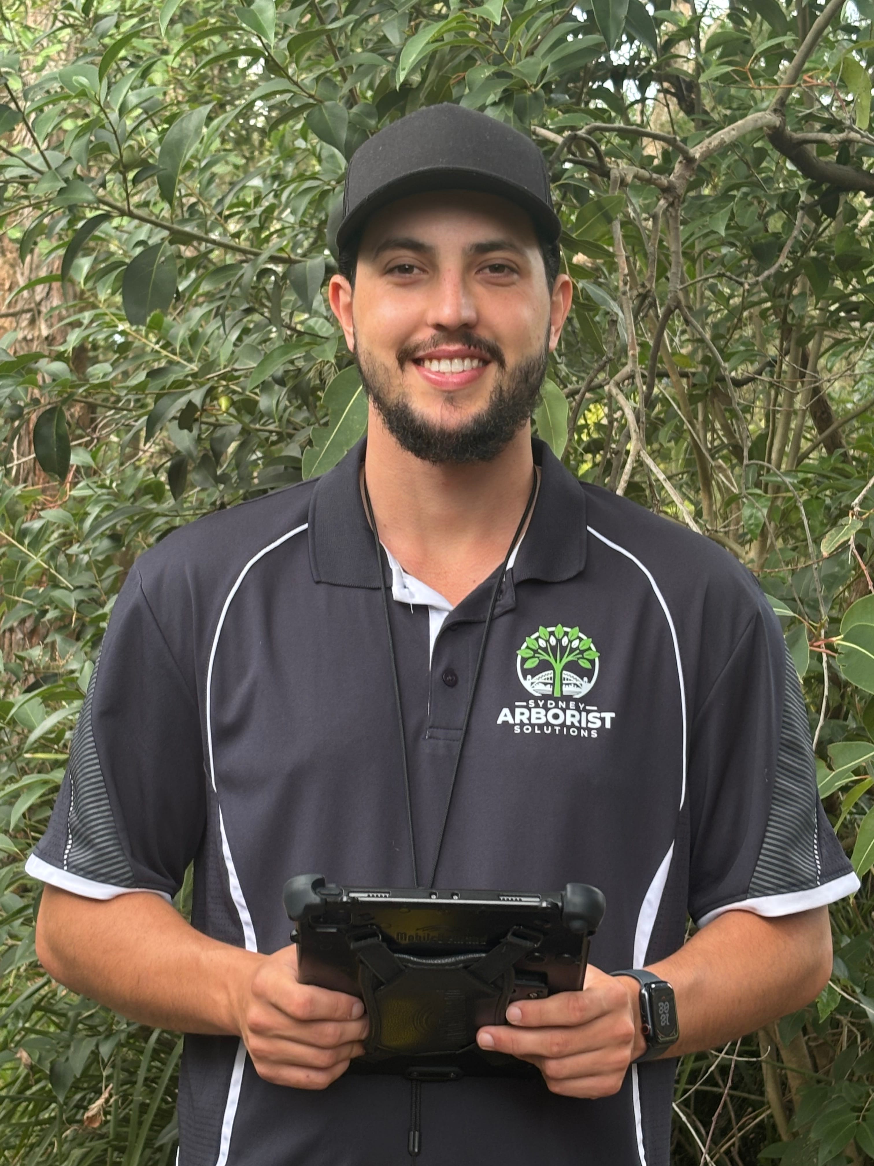 Professional Tree Structure Testing by Sydney Arborist Solutions - Level 5 qualified arborists in Sydney