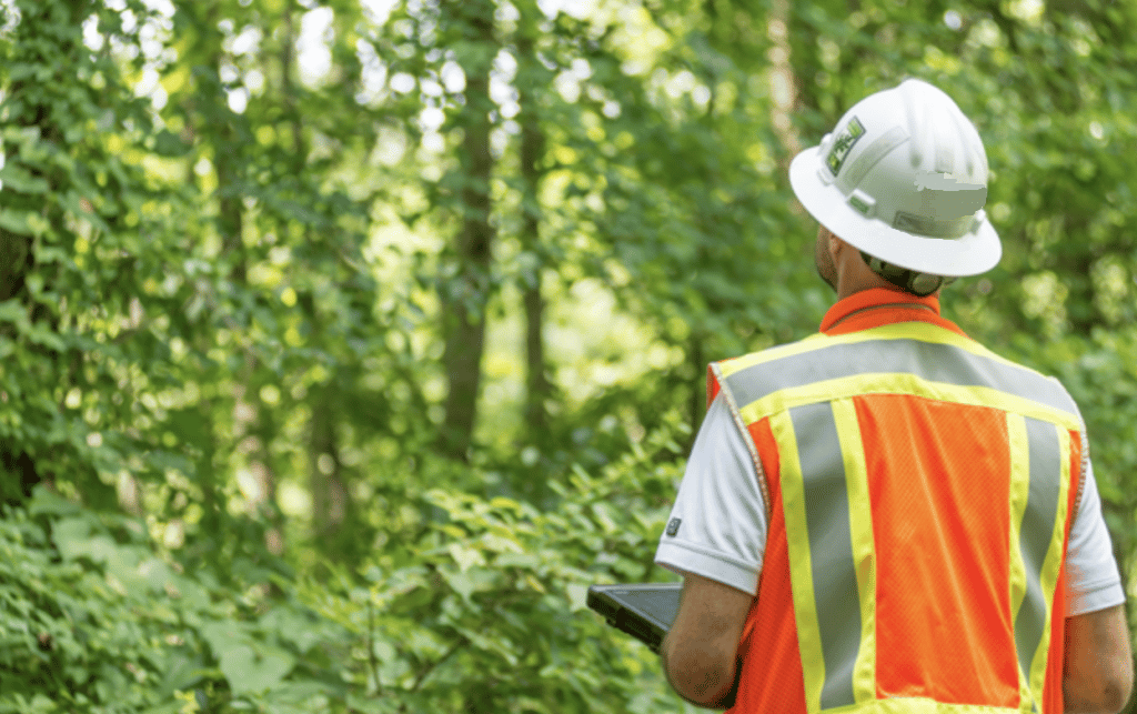 What is an Arborist Report and When Are They Needed?