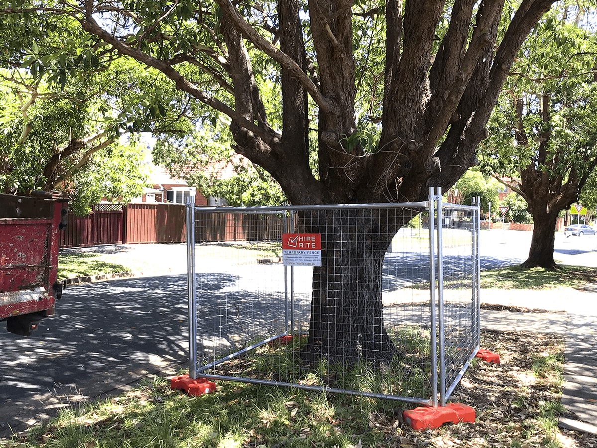 Tree Protection Plans for Construction in Sydney: AS4970 Compliance Guide 2025