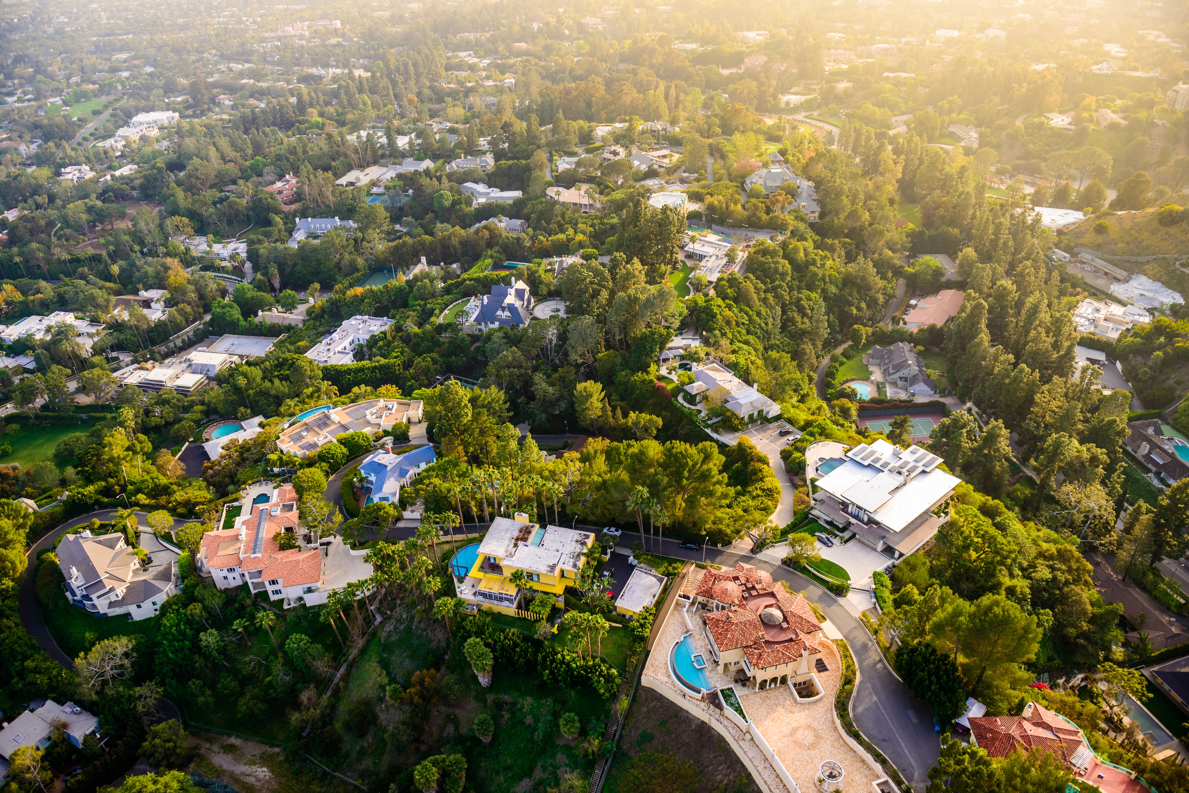Urban Forest Management & Canopy Planning Sydney: Strategic Development Guide 2025