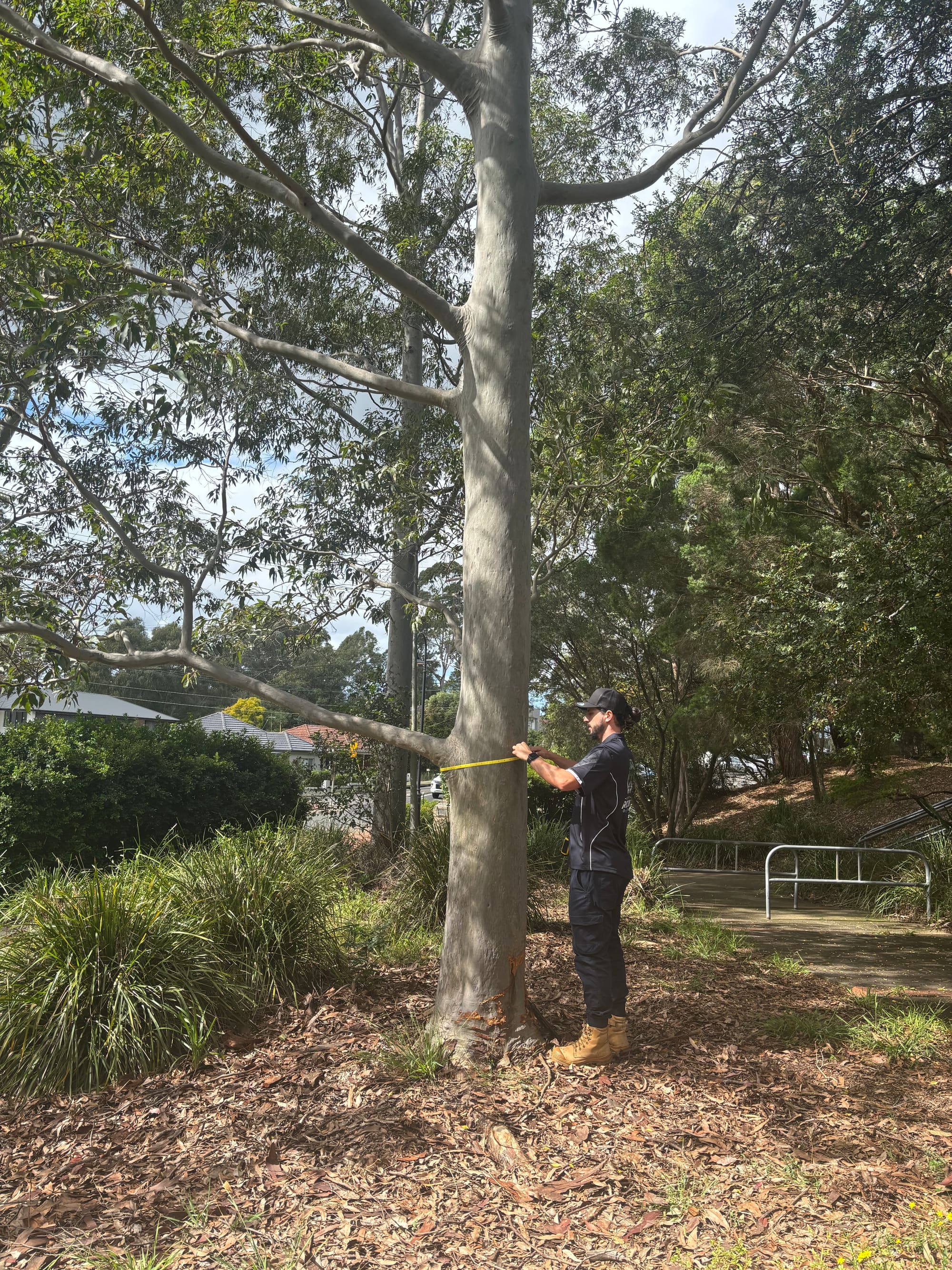 Tree protection plan prepared for construction near retained trees