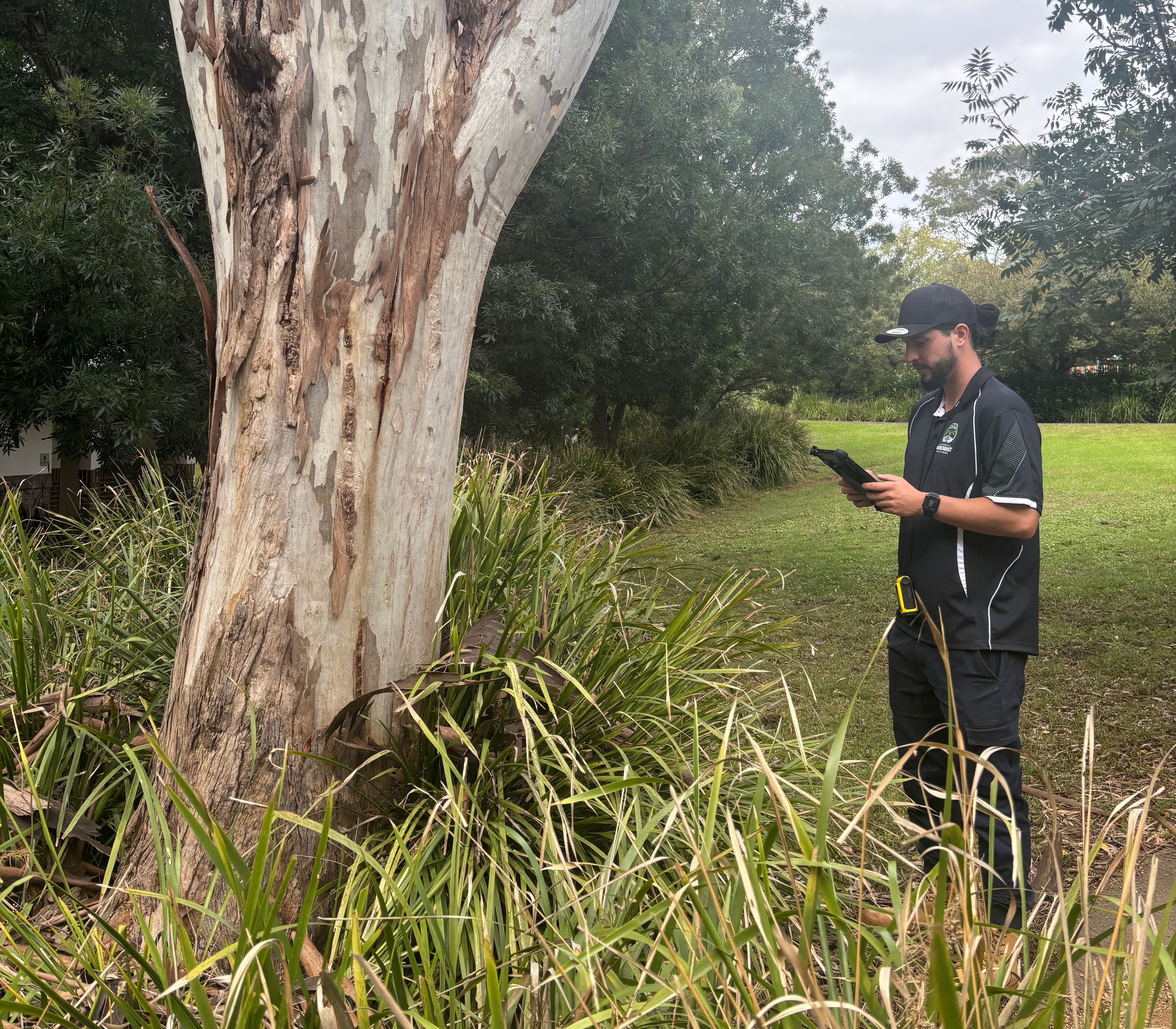 Arboricultural Impact Assessments Sydney
