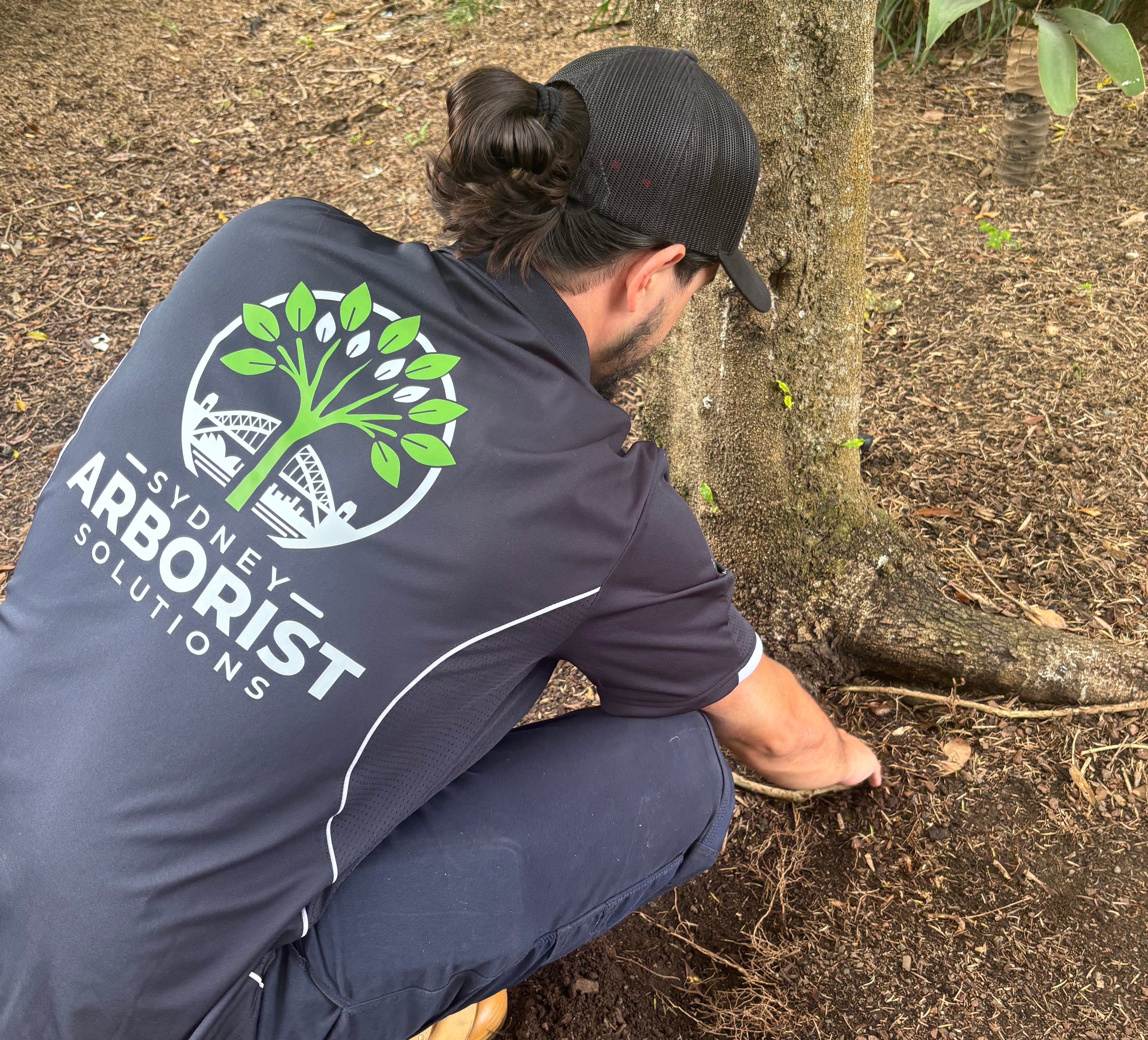 Project Arborist Services Sydney