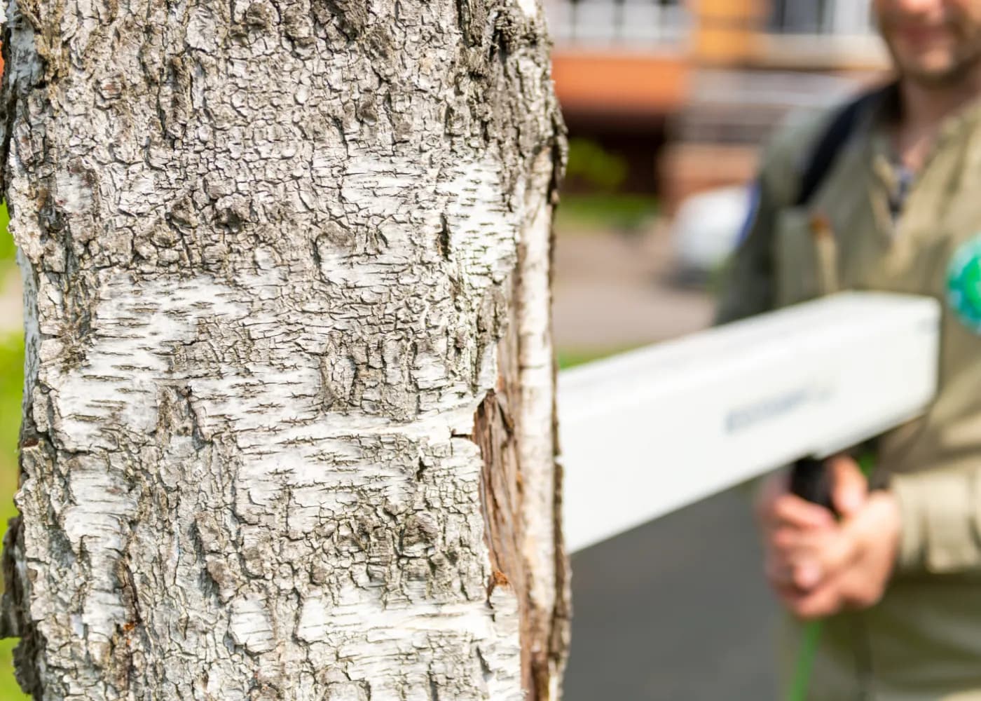 Tree Structure Testing Sydney: Sonic Tomography and Resistograph Guide
